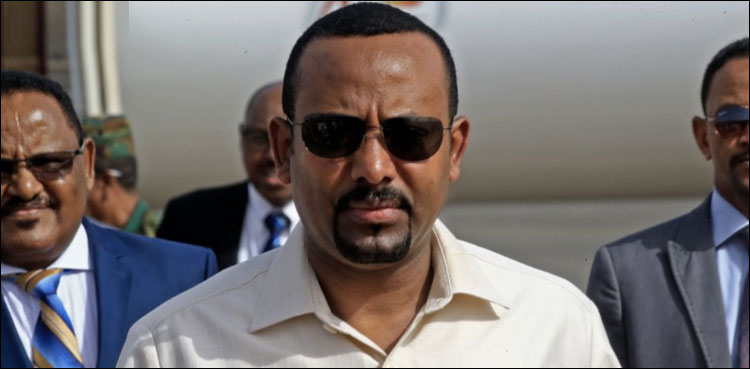 Ethiopian air strikes in Tigray will continue, says PM