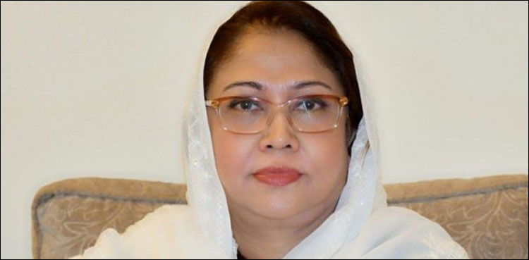 Faryal Talpur SHC Restore