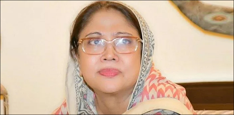 Faryal Talpur Disqualification