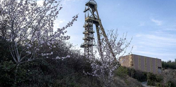 Arsenic, France