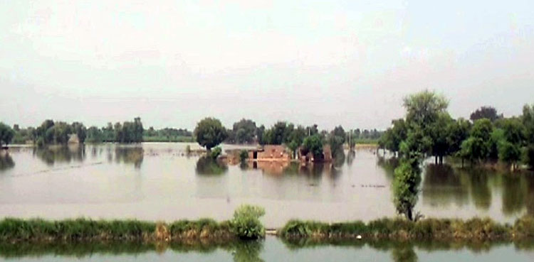 Sutlej River, high flood, Sulemanki headworks