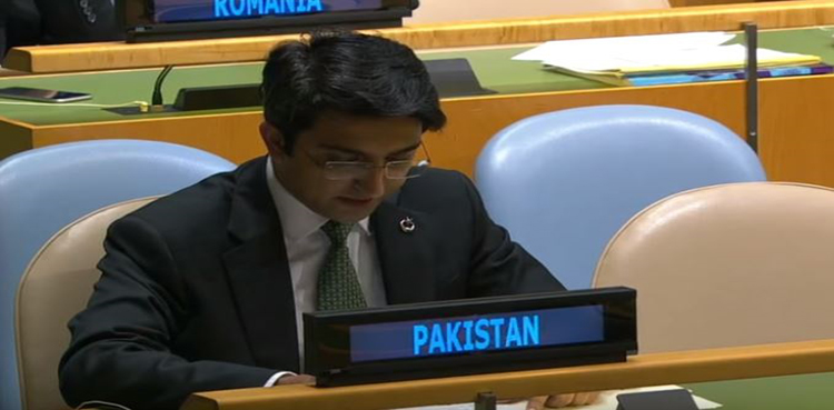 Pakistan, Rejoinder, India, UN