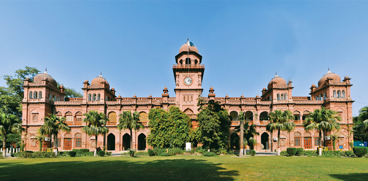 Punjab university