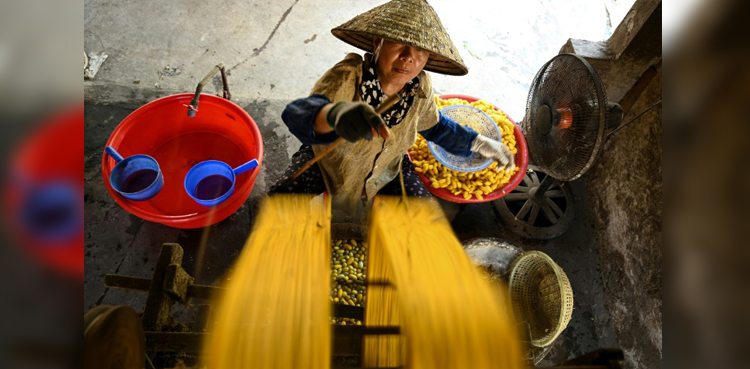 Vietnam, strong economic growth, 8 percent