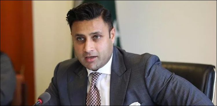 Zulfi Bukhari, Pakistan