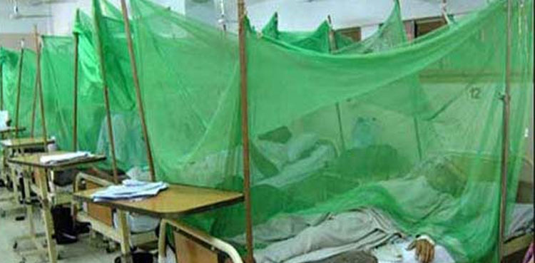 Sindh dengue fever cases