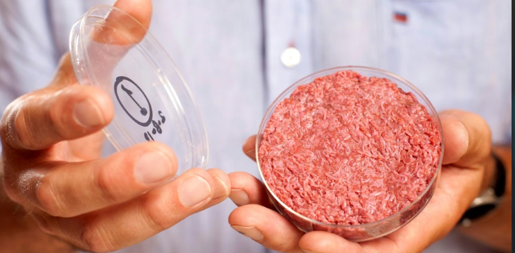 Lab-grown meat, U.S.