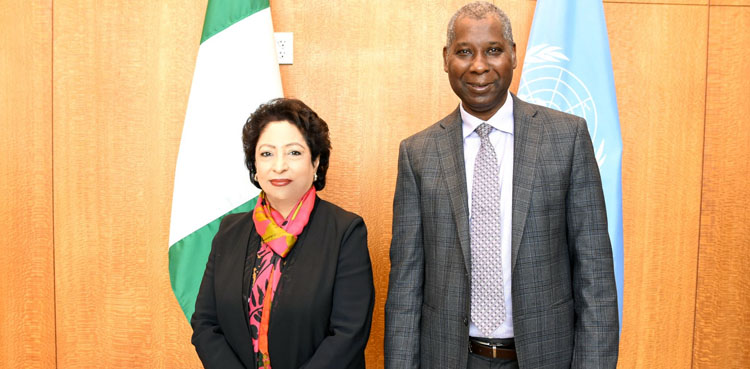 Maleeha Lodhi bids farewell to UN, departs from NY to London