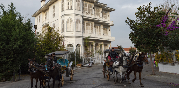 Istanbul ban carriage rides horses deaths