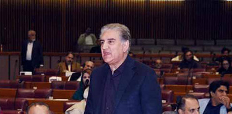 shah mehmood qureshi