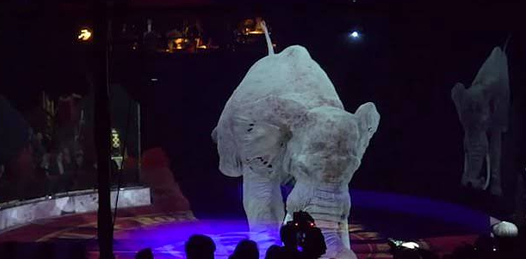 WATCH: Circus uses holograms instead of real animals