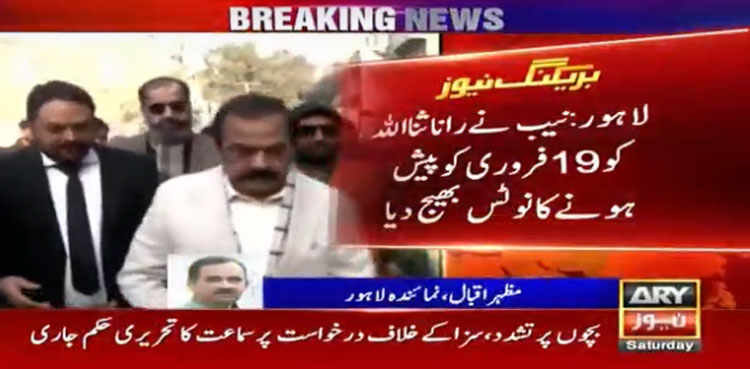 Rana Sanaullah Assets Case