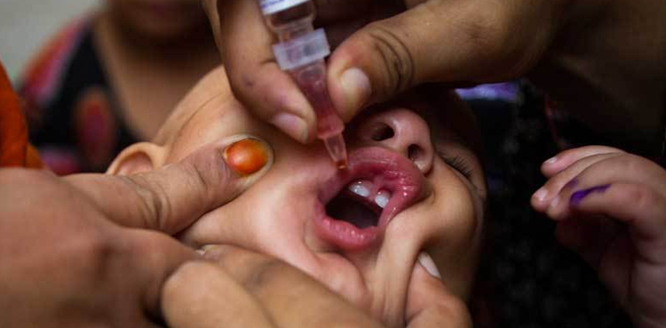 anti-polio campaign, vaccination