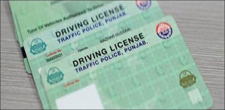 Punjab police driving licences record issuance