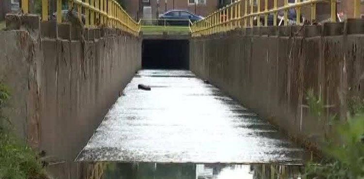 driver survives floodwaters