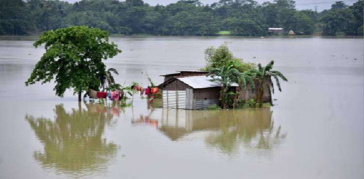 Nai Gaj flooding, Dadu