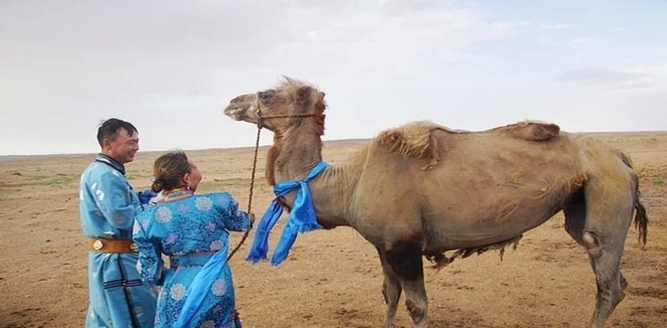 camel desert former owners