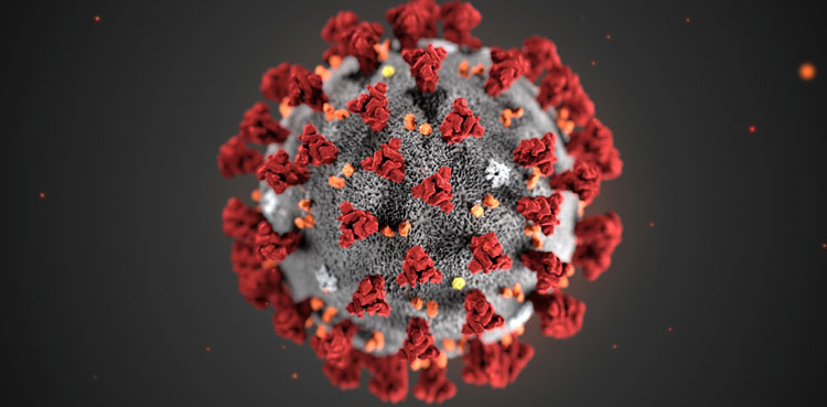 Pakistan coronavirus cases