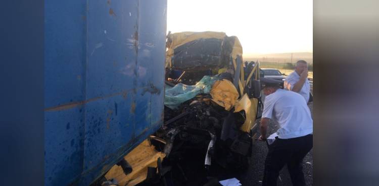 Crimea: Nine killed in bus crash after driver falls asleep