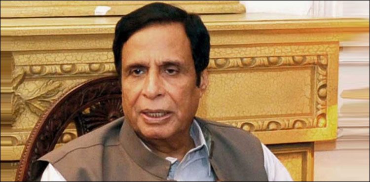 pervaiz elahi reference nab