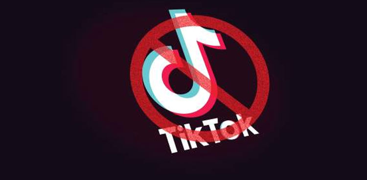 TikTok VPN LHC