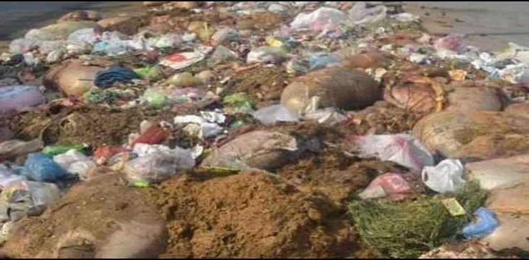 Karachi, animal remains