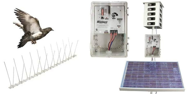 Modern system bird control bird strike CAA airports