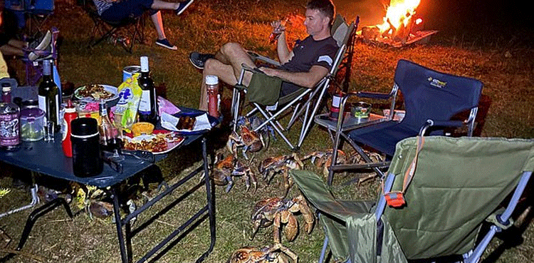 Giant crabs suddenly surround family during picnic
