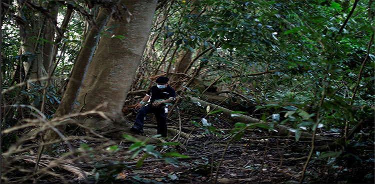 SINGAPORE-supernatural-town-crime-spooky