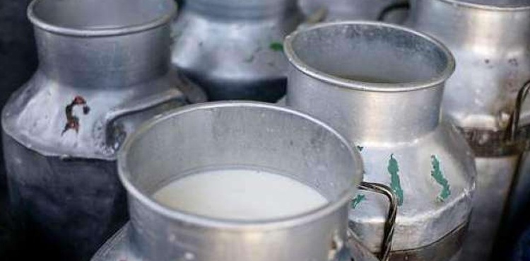 Karachi dairy farmers milk