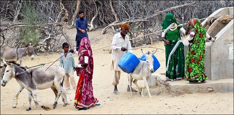 woman suicide, Tharparkar