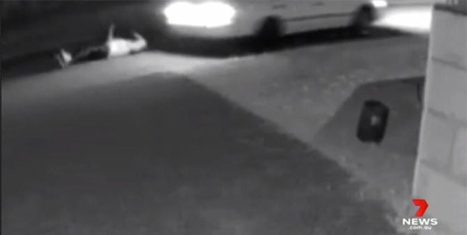 cctv driver teenager hit and run