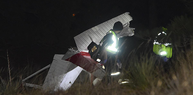 Man, dog killed as plane crashes in US