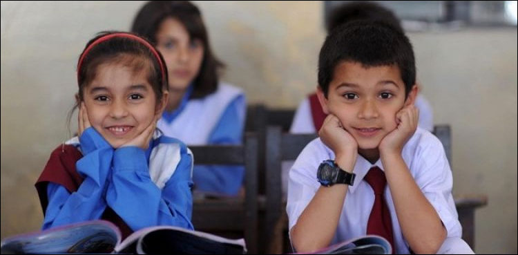 primary classes resume Sindh