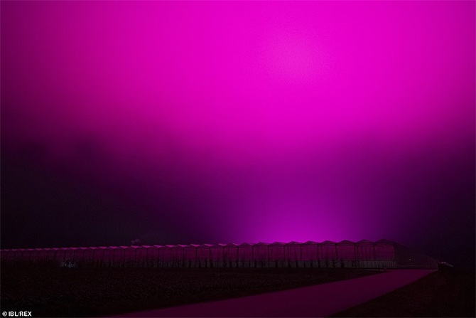 night sky purple shade photos lighting system sweden