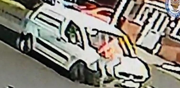 delivery driver van robbery cctv footage