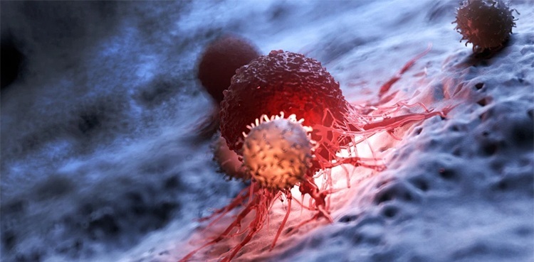 coronavirus human cell