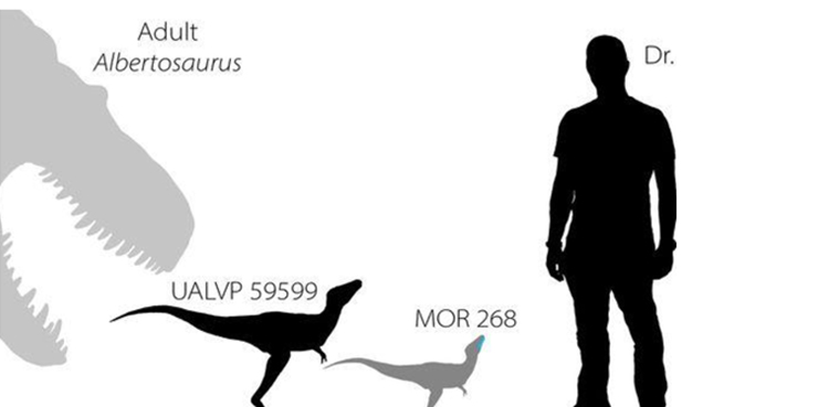 Babies from famed dinosaur group were ‘born ready’ to hunt