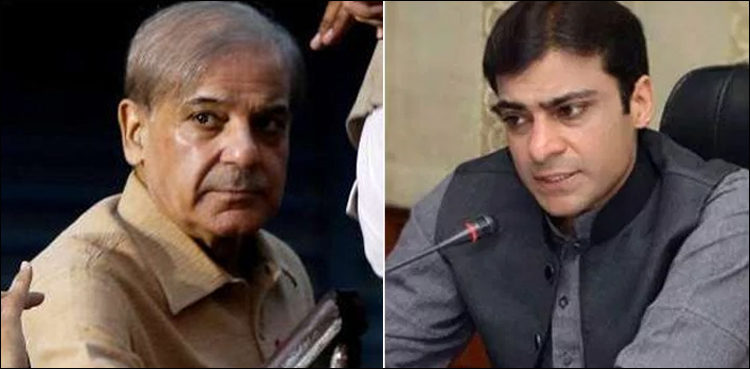 fia, money laundering, hamza shehbaz, shehbaz sharif,