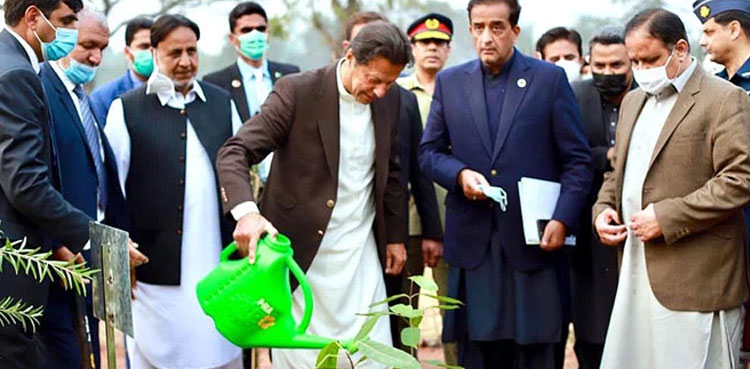 pm-imran-khan sapling plantation