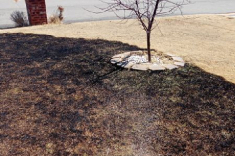 Burnt Lawn