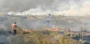 Latest News From All Over The World: Illegal Farm Fires Fuel Indian ...