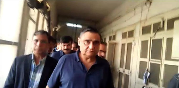 dr asim hussain corruption reference nab witness gas contract