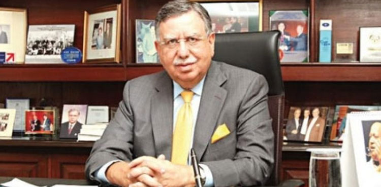 Shaukat Tarin, finance minister, budget