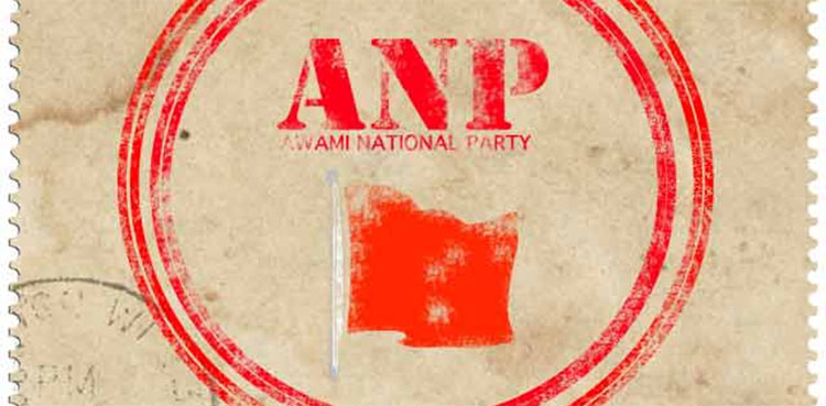 Anp Fields Candidate For Na 249 By Election In Karachi