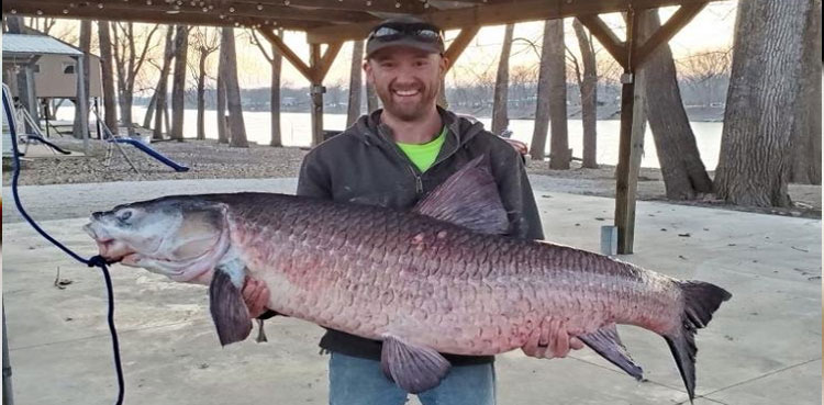 112 pounds! Missouri angler catches invasive black carp