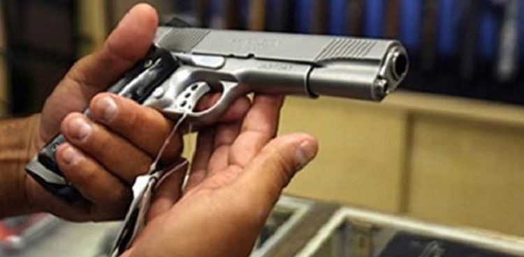 Punjab govt bans issuance of arms licences