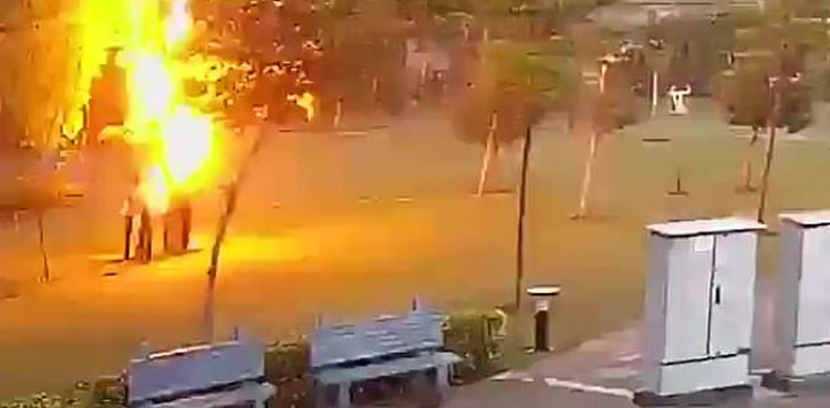 WATCH: Four men taking shelter under tree struck by lightning