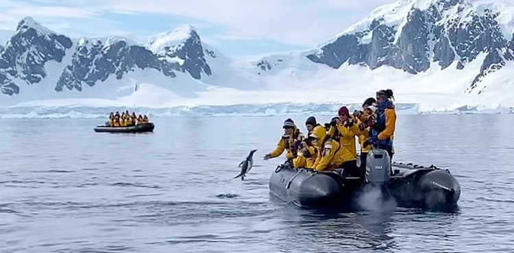 penguin killer whales tourist boat antarctica