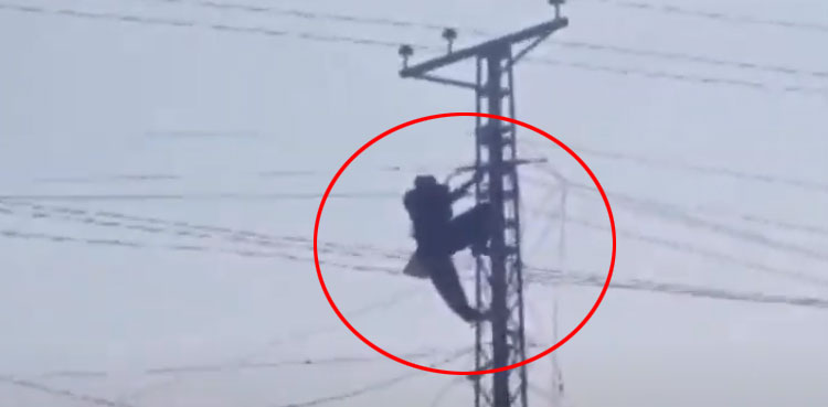 youth climbs up electric pole marriage